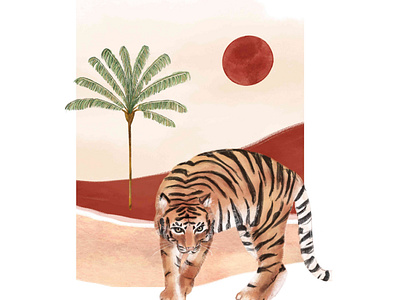 Tiger in the dessert