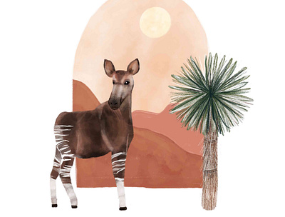 Okapi Love animals illustrated art bohemian design illustration minimalistic poster procreate watercolor