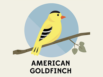 American Goldfinch - Birds of the Blue Ridge birds blue ridge finch goldfinch nc north carolina vector
