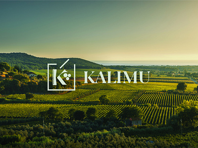 Kalimu Vineyards Branding background branding designstudio grapes graphicdesign greece green identity branding identitydesign logo vineyard webdesign website wine wine design wine logo