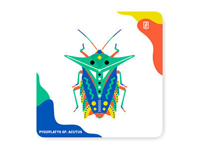 Fantastic insects 01 branding design designs formas icon illustration logo patterns ux zilap estudio