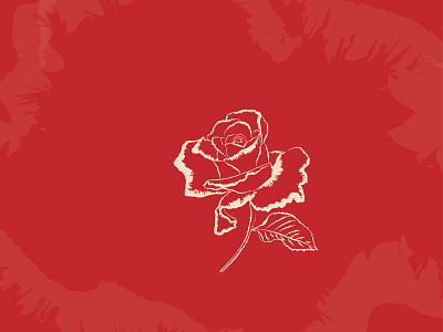 Rose illustration