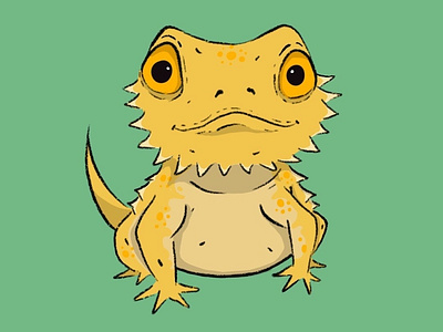 Bearded Dragon