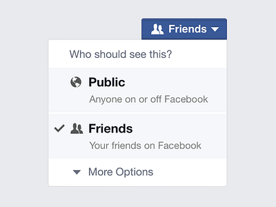 Facebook Privacy Selector facebook privacy