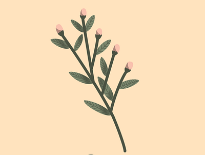 Renew: The Arauz Collective design digital art flower flower illustration graphic illustration rosebud