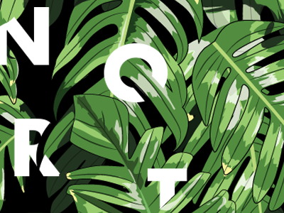 North East Type Experiment abstract green leafs poster type
