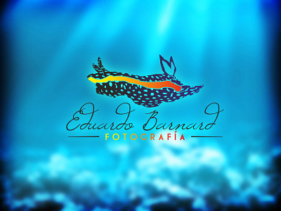 Eduardo Barnard Fotografia blue branding design logo ocean photography underwater vector