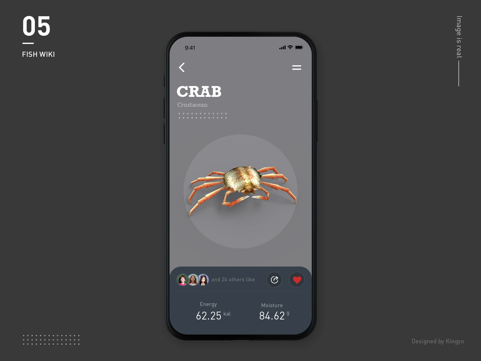 Fish Wiki 05 by Kingyo on Dribbble