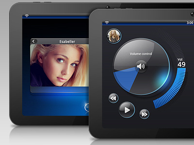 Tablet Interface Design -- Ginkgo