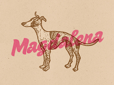 Magdalena doggo greyhound illustration ink pupper typography