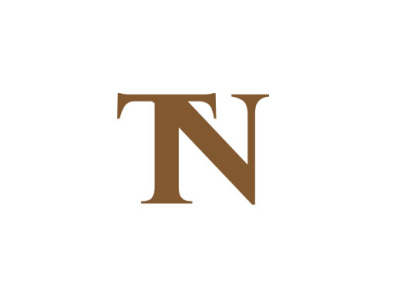 TN NT Creative logo design