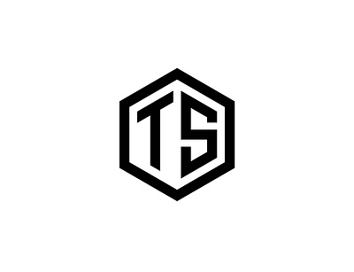 TS Logo Design branding design business logo creative logo design flat design illustration letter ts logo logo design ts ts letter ts logo ts logo design unique logo