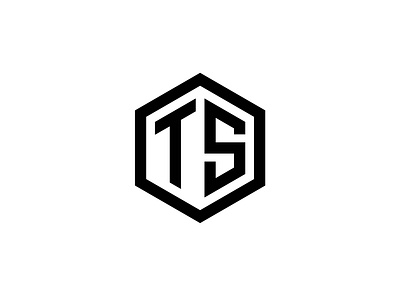 TS Logo Design