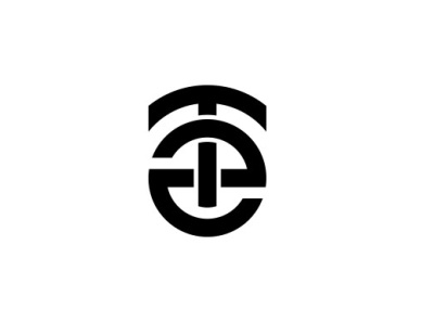 TZ ZT Logo Design