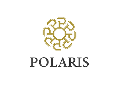 Polaris art branding creative design graphic design illustration lettering logo logo design mark minimal modern type unique vector