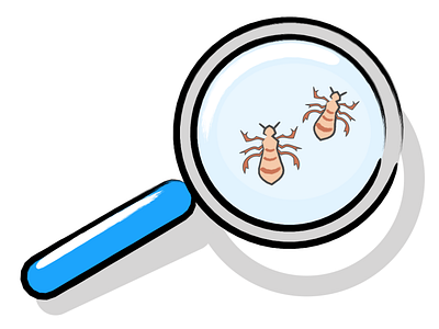 lice lice louse magnifier قملة