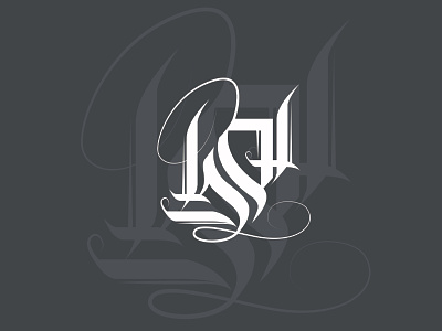 bd logo branding design illustration logo