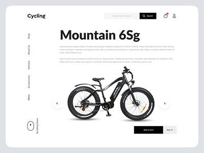 Bicycle Store Website