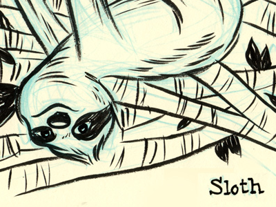 S is for Sloth