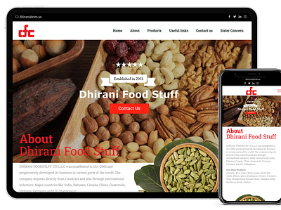 Dhirani Foodstuff Trading Web Design - GCC Marketing Portfolio branding design graphic design logo ui ux web website