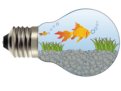 Bulb Fish branding bulb design fish goldfish icon illustration johirulxohan logo ui vector water