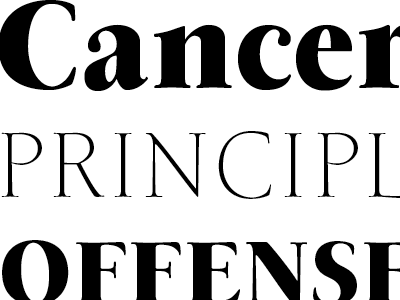 Back to work! black font garamond light roman text type typeface