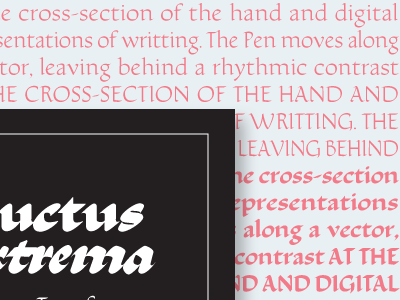 Some More Specimen calligraphy font roman rustic type design typeface typography
