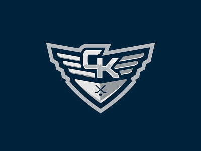 Steel Wings (Alternative sign) hockey logo logos puck sport sports sticks wings