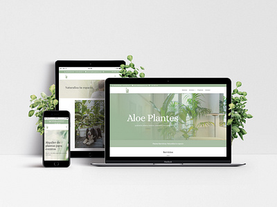 Aloe Plantes - Web Design barcelona branding graphicdesign graphicdesigner plant plant shop plants responsive responsive design web webdesign webdesigner