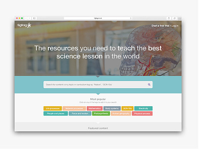 Homepage concept for TigTag design search web