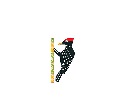 Bird branding designs graphicdesigns illustration print
