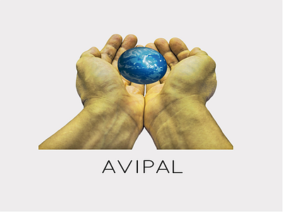 Avipal branding designs graphicdesigns impreso logo logotype pantalla print rgb