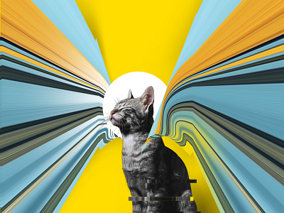 Deep blue states.⁠ art cat collage design graphicdesign gt guatemala icarosdie icarusdie illustration loveistheanswer photoshop psychedelic yellow