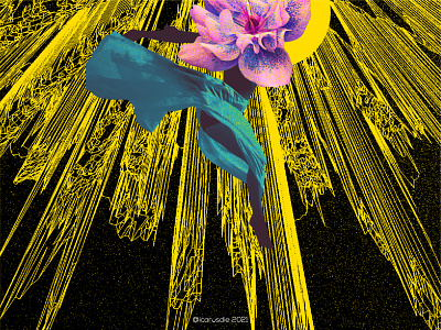 Spoke ❕❕❕❕❕❕❕❕❕❕❕❕❕ concept art fearnot flower game design graphic design gt guatemala icarosdie illustration loveistheanswer photoshop yellow