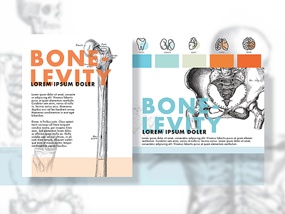 Bone Health bone color concept health illustration layout overlay