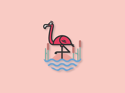 Flamingo