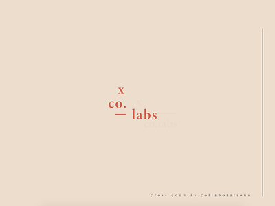 x co. collaboration concept cross country design dreams fun idenity labs logo pink x co