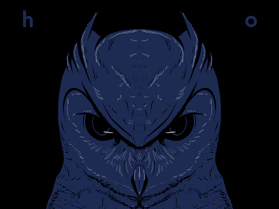 hoot. hoot illustration owl