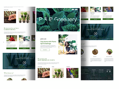 Nursery in our Hands branding design nepal nursery order tree typography ui ux website