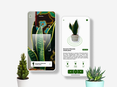 UI for a plant scanning application