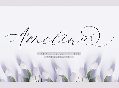 Amelina calligraphy elegant script wedding