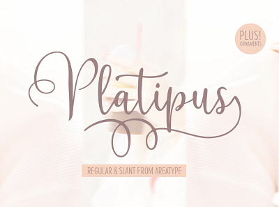 Platipus brush modern script signature