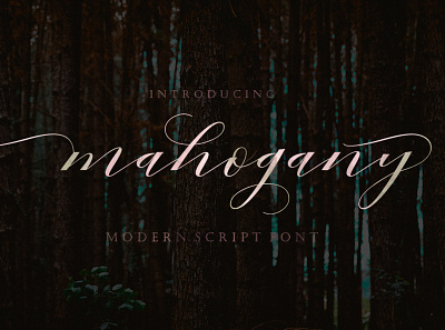 Mahogany calligraphy casual modern script