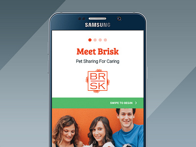 Brisk Mobile App – Case Study