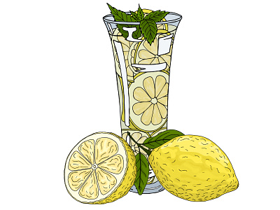 Homemade lemonade citrus design drinks fresh illustration lemon lemonade organic vector