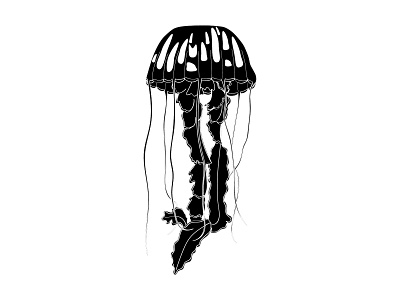 Jellyfish black design illustration jellyfish ocean sea silhouette vector