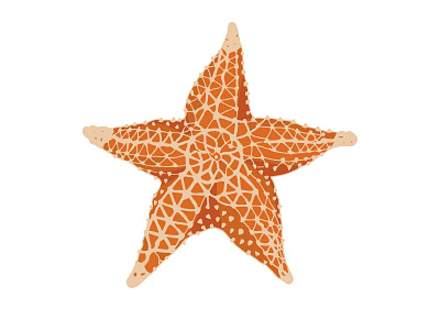 Starfish design illustration marine ocean sea starfish vector