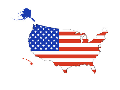 The USA america design flag flat illustration map usa vector