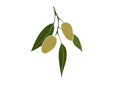 Green olives design flat illustration logo natural olive oil olives organic vector