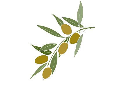 Olive branch design flat illustration logo natural olive oil olives organic vector